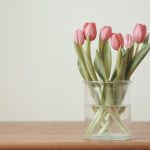 Een Gids voor het Kiezen van de Juiste Tulpenbollen