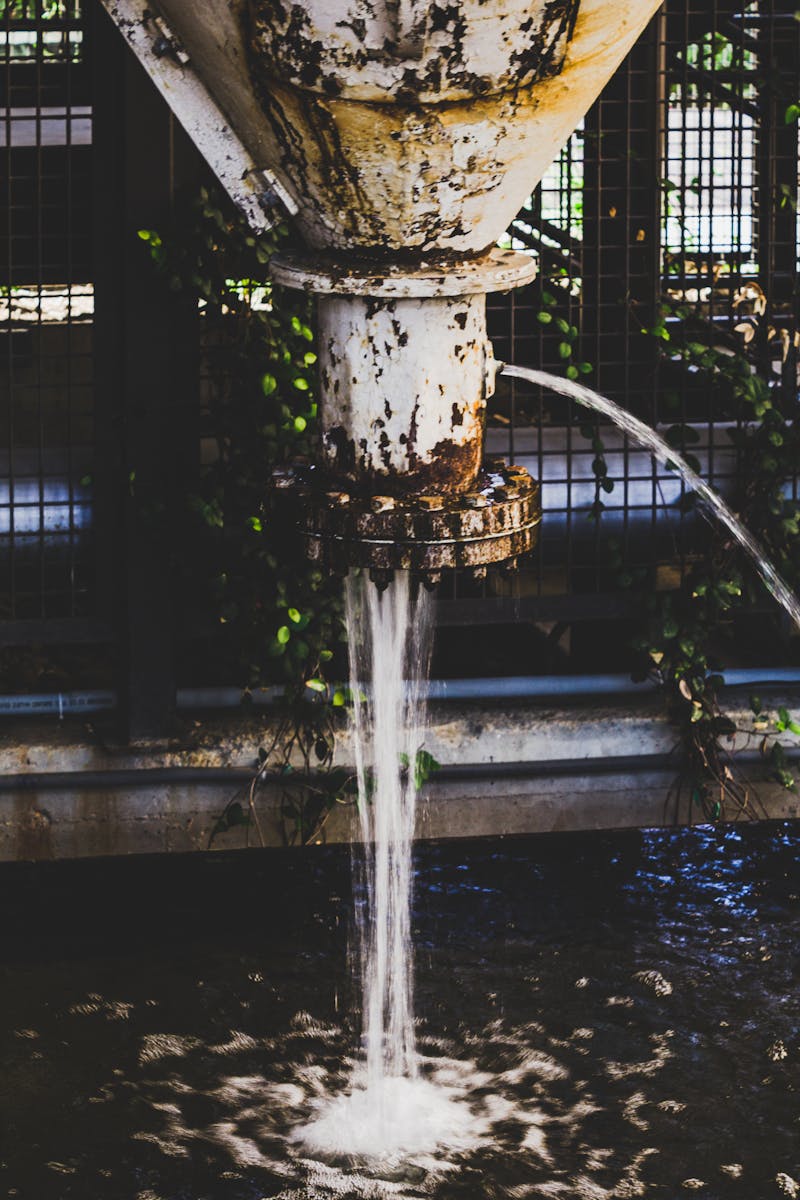 A rusty pipe discharges water into an industrial environment, surrounded by lush foliage.